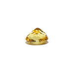 Citrine - 4.5 Carat - Pramogh