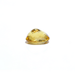 Citrine - 4.5 Carat - Pramogh