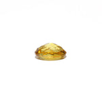 Citrine - 3.95 Carat - Pramogh
