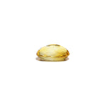 Citrine - 4.6 Carat - Pramogh