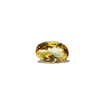 Citrine - 4.1 Carat - Pramogh