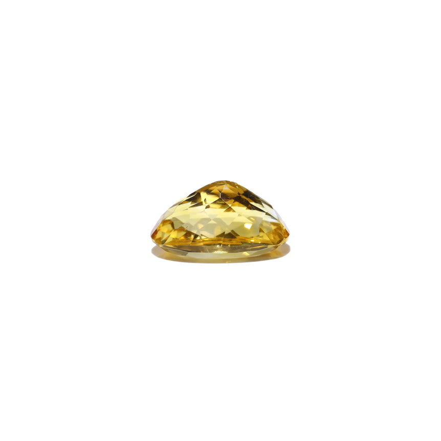 Citrine - 4.1 Carat - Pramogh