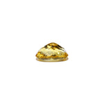 Citrine - 4.1 Carat - Pramogh
