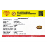Citrine - 4.1 Carat - Pramogh
