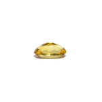Citrine - 3.8 Carat - Pramogh
