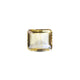 Citrine - Sunela -  10.65 Carat - Pramogh