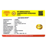 Citrine - 13.05 Carat