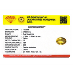Citrine - 12.1 Carat