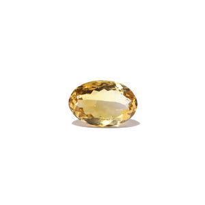 Citrine - Sunela -  14 Carat - Pramogh