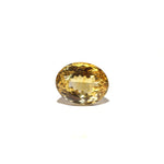 Citrine - Sunela -  18.7 Carat - Pramogh