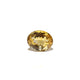 Citrine - Sunela -  18.7 Carat - Pramogh