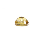 Citrine - 16.6 Carat