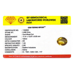 Citrine - 13.45 Carat