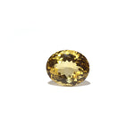 Citrine - Sunela -  14 Carat - Pramogh