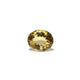 Citrine - Sunela -  14 Carat - Pramogh