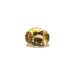 Citrine - Sunela -  15.6 Carat - Pramogh