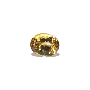 Citrine - Sunela -  15.6 Carat - Pramogh
