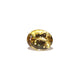 Citrine - Sunela -  15.6 Carat - Pramogh