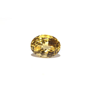 Citrine - Sunela -  16.55 Carat - Pramogh