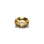 Citrine - Sunela -  13.55 Carat - Pramogh