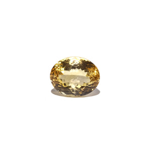 Citrine - Sunela -  13.55 Carat - Pramogh