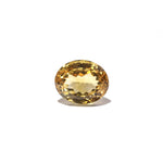 Citrine - Sunela -  18.4 Carat - Pramogh