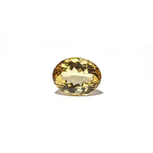 Citrine - Sunela -  15 Carat - Pramogh
