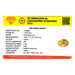 Citrine - 9.05 Carat