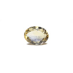 Citrine - Sunela - 7.2 Carat - Pramogh