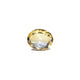 Citrine - Sunela - 5.75 Carat - Pramogh