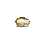 Citrine - Sunela - 6.52 Carat - Pramogh