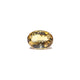 Citrine - Sunela - 5.4 Carat - Pramogh