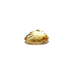 Citrine - 5.22 Carat