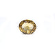 Citrine - Sunela - 4.9 Carat - Pramogh