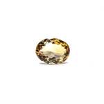 Citrine - 4.05 Carat - Pramogh