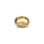 Citrine - 4.5 Carat - Pramogh