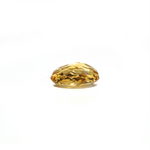 Citrine - 3.6 Carat