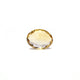 Citrine - 3.05 Carat - Pramogh