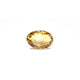 Citrine - 4.85 Carat - Pramogh