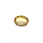 Citrine - 3.05 Carat - Pramogh