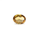 Citrine - 3.3 Carat - Pramogh