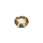 Citrine - 8.85 Carat - Pramogh