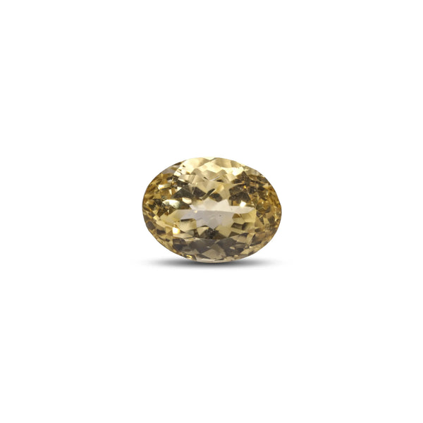 Citrine - 7.3 Carat - Pramogh