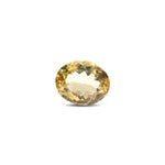 Citrine - 7.95 Carat - Pramogh