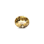 Citrine - 9.65 Carat - Pramogh