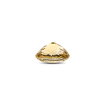 Citrine - 6.3 Carat