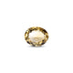 Citrine - 7.22 Carat - Pramogh