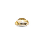 Citrine - 8.8 Carat
