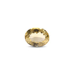 Citrine - 13.3 Carat - Pramogh