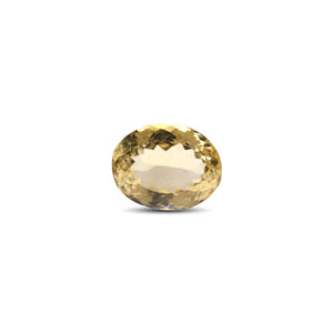 Citrine - 13.3 Carat - Pramogh